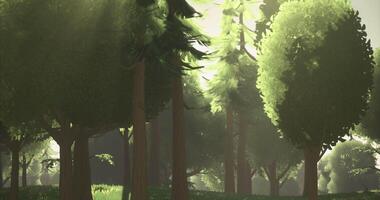 CGI Lush forest with sunlight filtering through trees in serene landscape video