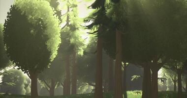 CGI Sunlight filtering through leafy trees in a vibrant forest setting video