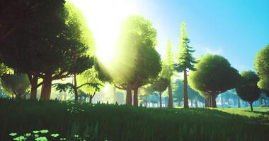 CGI Sunlight streaming through lush trees in a vibrant forest landscape video