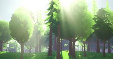CGI Sunlight filtering through a lush forest showcasing vibrant green trees video