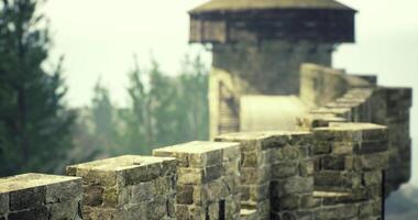 CGI View of ancient stone wall with tower surrounded by trees on a misty day video