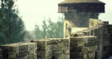 CGI Stone wall leading to ancient tower surrounded by trees at dawn video