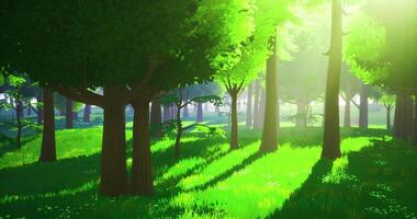CGI Sunlight streams through the canopy of tall trees in a vibrant green forest video