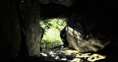 CGI Exploring a rocky cave opening leading to a lush forest in daylight video
