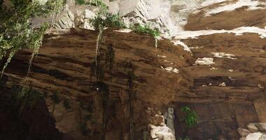 CGI Exploration of a vast cave with rock formations and lush greenery video