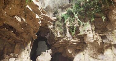 CGI Explore unique rock formations and lush greenery in a captivating cave setting video