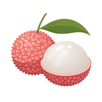 Illustration of Lychee, isolated on a transparent background png