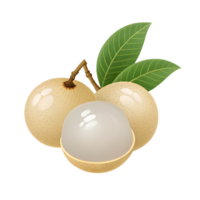 Illustration of Longan fruit Icon, isolated on a transparent background png
