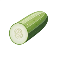 Illustration of cucumber Icon, isolated on a transparent background png