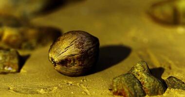 CGI Close up view of a textured nut surrounded by colorful stones on yellow surface video