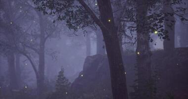 CGI Mysterious forest filled with glowing fireflies during twilight hour video
