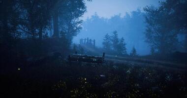 CGI Mystical forest path with a bench and bridge under moonlight video