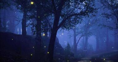 CGI Mysterious forest at night with glowing fireflies and fog video