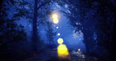 CGI Forest path illuminated by fireflies at dusk during summer season video