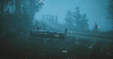 CGI Misty forest path with wooden bridge and flowers at dusk video