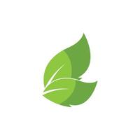 leaf logo icon vector