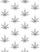 Seamless pattern of hemp cannabis isolated on white background vector