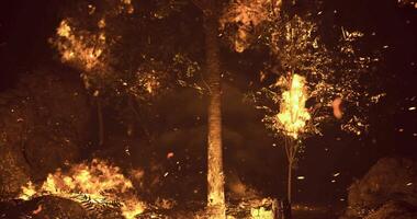 CGI Wildfire engulfs forest, threatening wildlife and habitat at dusk video
