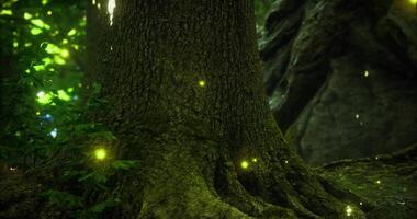 CGI Glow of fireflies around a majestic tree in an enchanting forest video