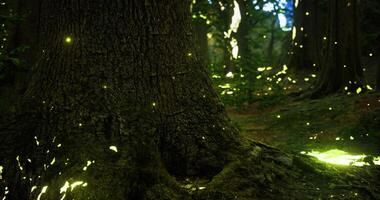 CGI Glowing fireflies illuminate a forest grove during late evening hours video