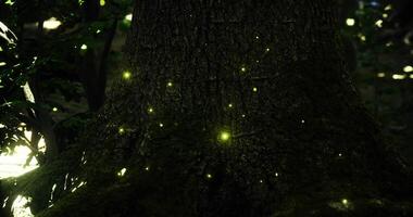 CGI Twinkling fireflies illuminate a lush forest at dusk near a majestic tree video