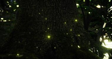 CGI Twinkling fireflies illuminate a forest at night near a massive tree trunk video