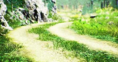 CGI Winding dirt path through a vibrant green forest landscape with rocks video