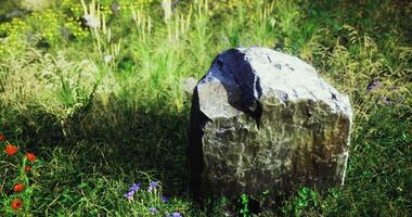 CGI Large natural stone surrounded by colorful wildflowers in a lush green meadow video