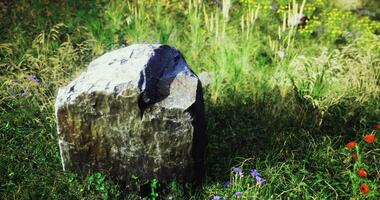 CGI Large stone amidst wildflowers in a vibrant green meadow during daylight video