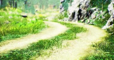 CGI Winding dirt path through lush green landscape in a tranquil forest setting video