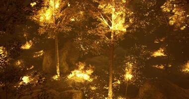 CGI Forest in flames during wildfires causing destruction at sunset video