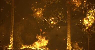 CGI Forest fire spreading rapidly through trees at dusk in a remote area video