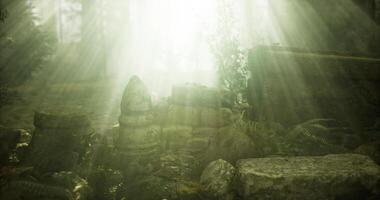 CGI Mysterious ruins illuminated by soft light in a dense forest environment video