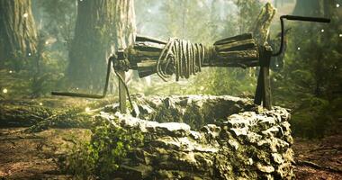 CGI Ancient well surrounded by lush forest under soft, mystical lighting video