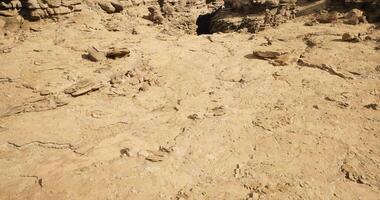 CGI Rocky terrain with ancient footprints discovered near a cliff edge video