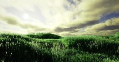 CGI Vast green landscape with rolling hills under a cloudy sky at sunset video