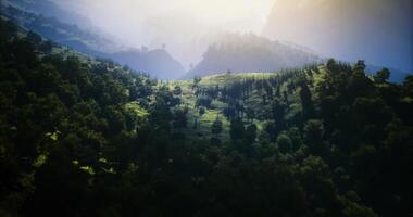 CGI Lush green valley with mountains and mist at dawn in tranquil environment video