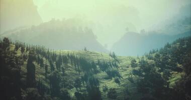 CGI Vibrant landscape featuring rolling hills and misty mountains during sunrise video