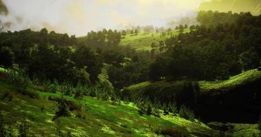 CGI Lush green hills illuminate under golden sunlight in tranquil landscape video