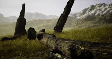 CGI Mysterious landscape with fallen trees and mountains in the background video