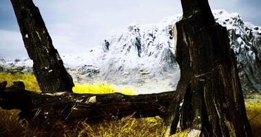 CGI Scenic view of snow capped mountains framed by dark tree trunks video