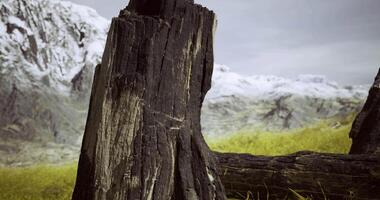 CGI Charred tree stump amidst a rugged mountain landscape with snow peaks video