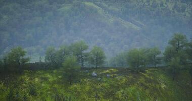 CGI Lush green hills and misty valleys create a tranquil atmosphere in nature video