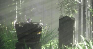 CGI Sunlight filters through trees illuminating a wooden bucket in a lush garden video
