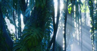 CGI Lush green jungle under bright sunlight filters through dense foliage video