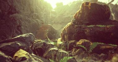 CGI Exploring a serene rocky landscape with lush green vegetation at sunrise video