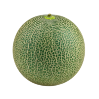 A photorealistic image of a fresh, green melon featuring a beautiful, textured rind on transparency. png