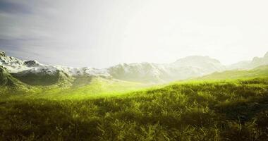 CGI Mountain landscape with lush green grass and distant snowy peaks during daytime video