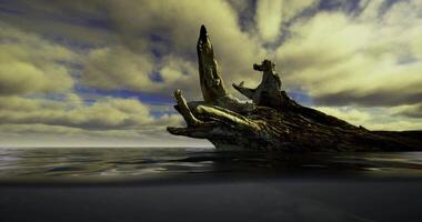 CGI Driftwood formations in calm water against a moody sky at sunset video