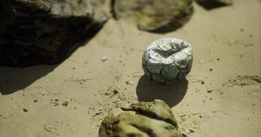 CGI Unique stone resembling a soccer ball on sandy beach surface video